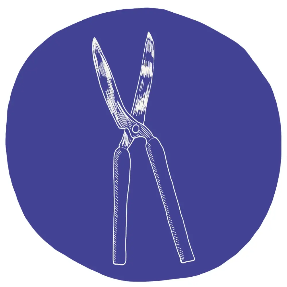 Illustration of pruning shears